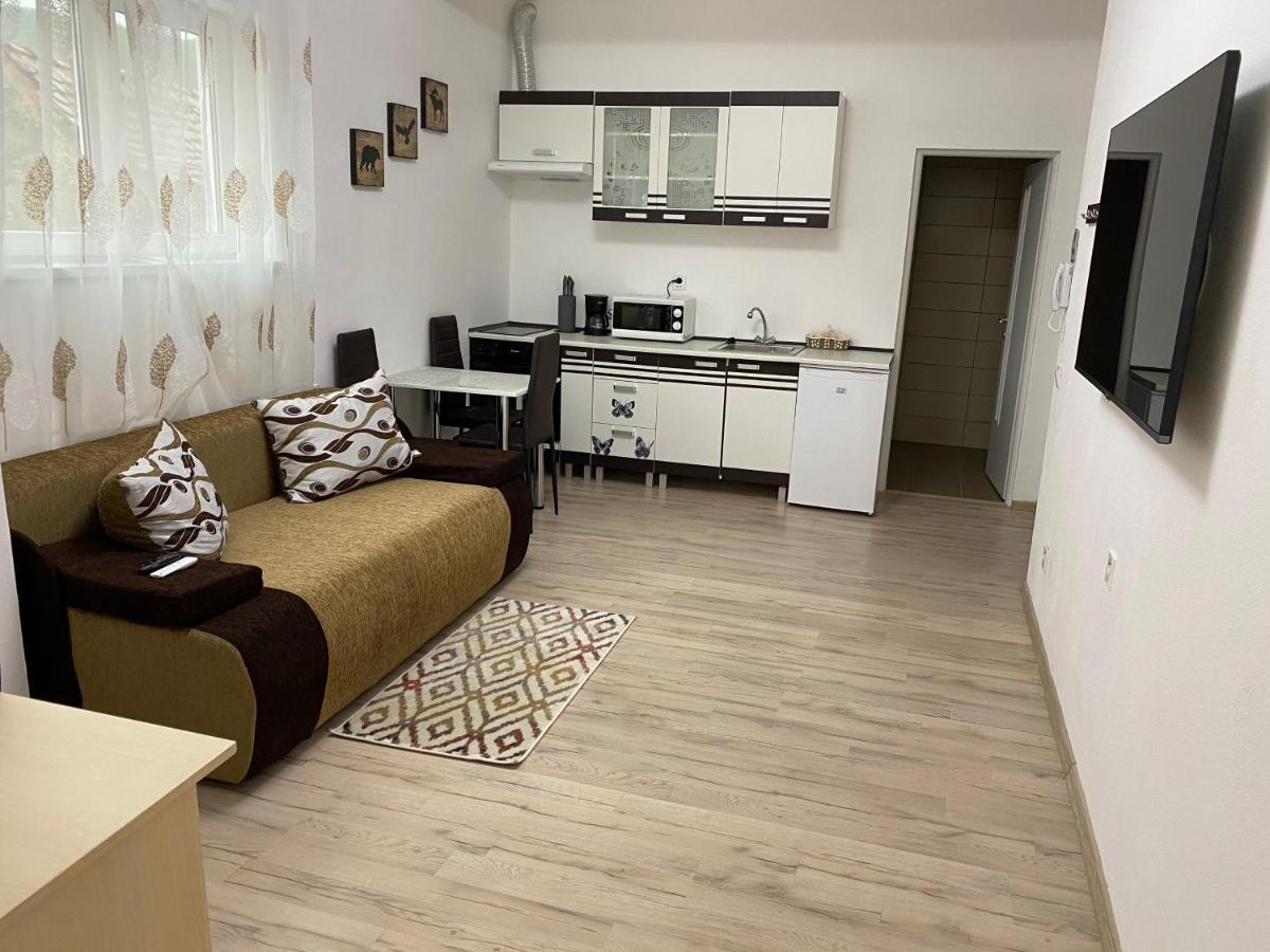 Centralhome Ap1 Sighisoara Luaran gambar