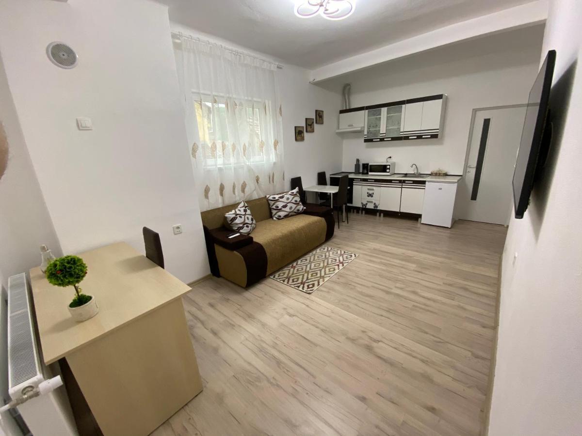 Centralhome Ap1 Sighisoara Luaran gambar